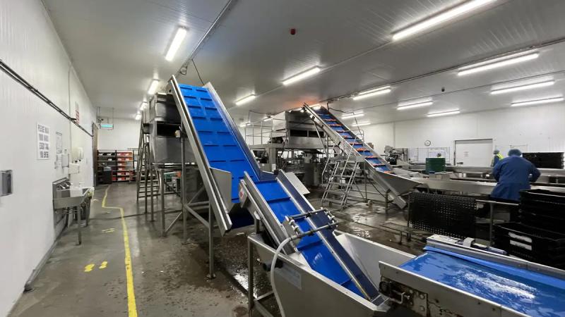 140 Newtownards Rd 3