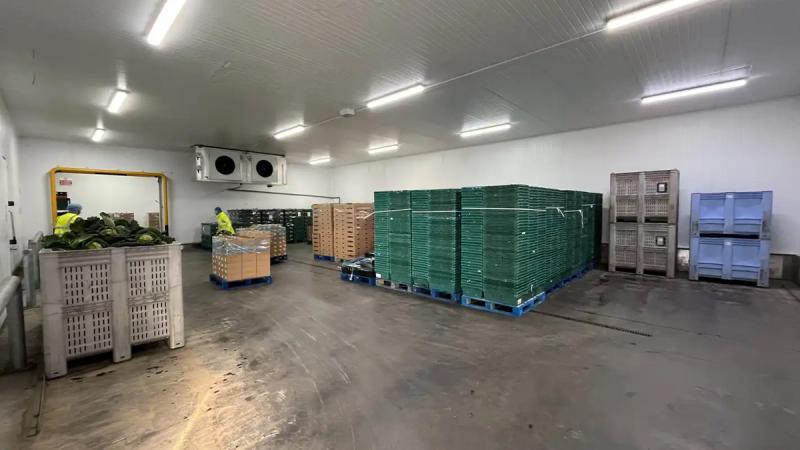 140 Newtownards Rd 6